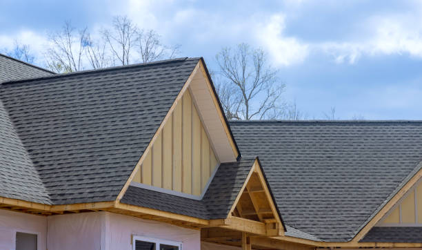 Best Roof Moss and Algae Removal  in Georgetown, PA